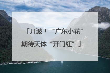 开波！“广东小花”期待天体“开门红”